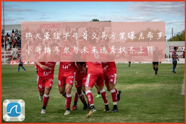 热火豪赌字母哥交易方案曝光希罗小海梅韦尔与未来选秀权齐上阵