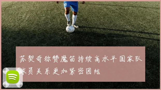 苏契奇称赞魔笛持续高水平国家队球员关系更加紧密团结